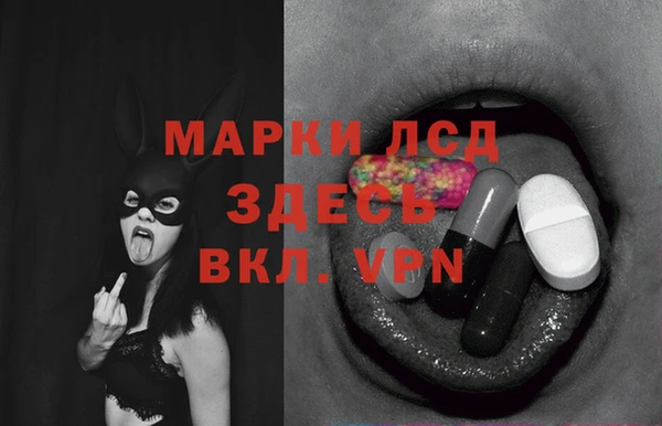 Альфа ПВП Сосновый Бор