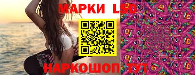 шишки Бийск