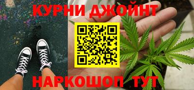 шишки Бийск