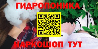 шишки Бийск