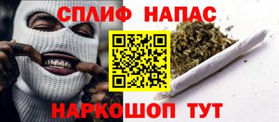 шишки Бийск