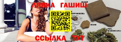 шишки Бийск