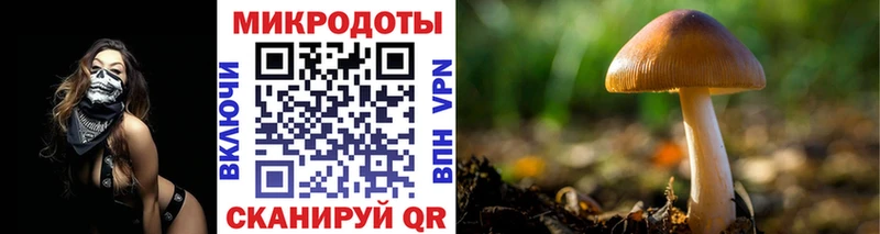 Галлюциногенные грибы Psilocybe  Вятские Поляны 
