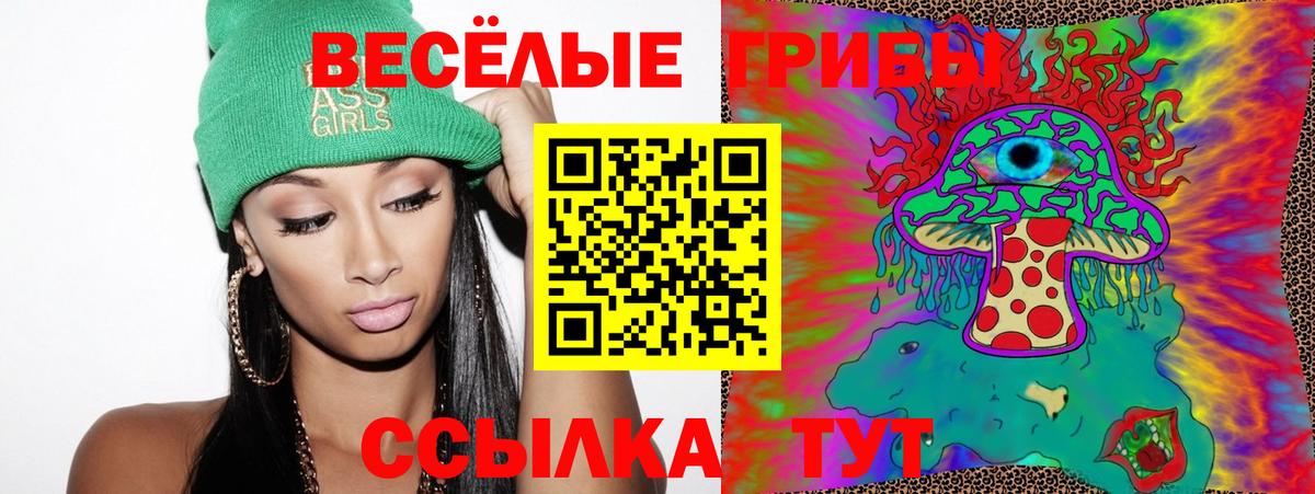 Галлюциногенные грибы Psilocybe Вятские Поляны