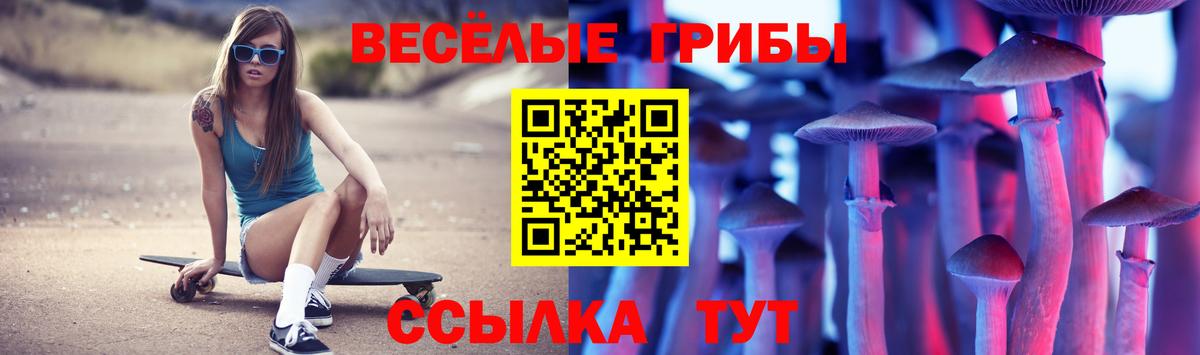 Вятские Поляны  Псилоцибиновые грибы MAGIC MUSHROOMS  Вход с VPN 